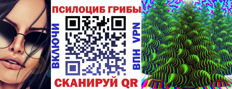 Псилоцибиновые грибы ЛСД  Циолковский 